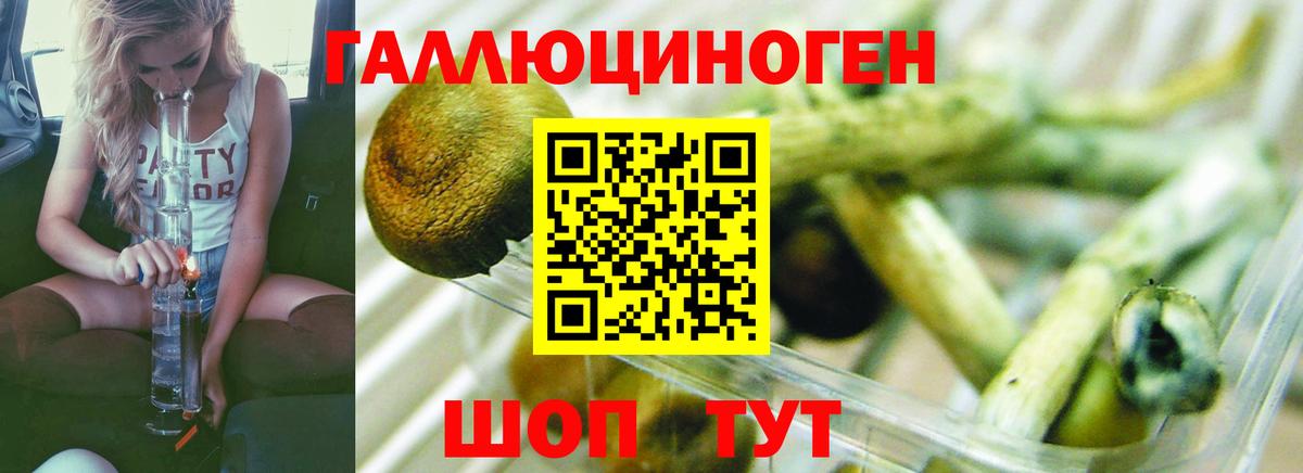 Галлюциногенные грибы Cubensis  Псилоцибиновые грибы ЛСД  Вход с VPN  Кингисепп 